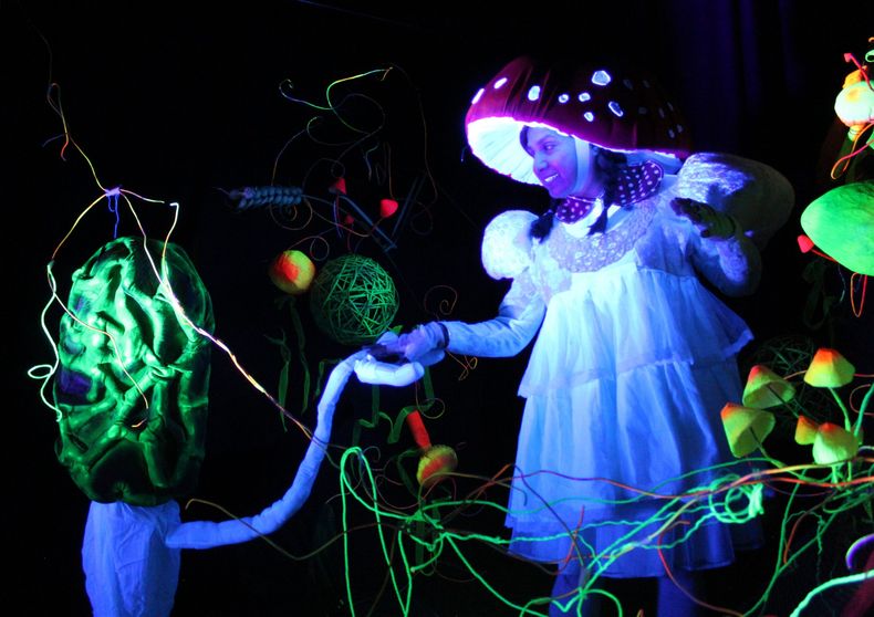 La REina Fungi 7 scaled.jpg