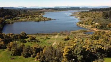 Alerta Roja por calor: Ordenan cierre de parques y reservas entre regiones de Coquimbo y La Araucanía