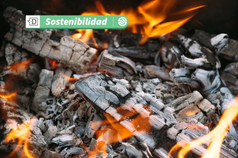 19652 diseno sin titulo 2025 07 24t174428.webp