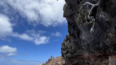 Expedición científica a la isla San Ambrosio. Foto: Arón Cádiz.&nbsp;