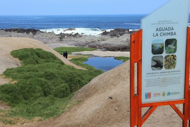 3619 humedal chimba.jpg