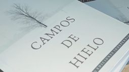 Portada del libro Campos de Hielo del escritor chileno Enzo Farías.&nbsp;