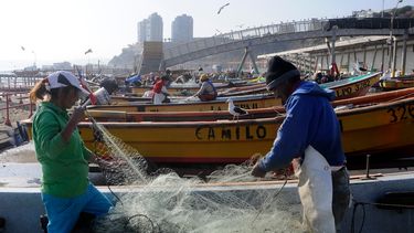 “Solucionaremos la situación de cuotas de merluza”: Boric valora Ley de Fraccionamiento para ayudar a pesca artesanal