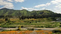 Organizaciones socioambientales llaman a revisar la exclusión de sitios clave para la conservación del Valle del Maipo