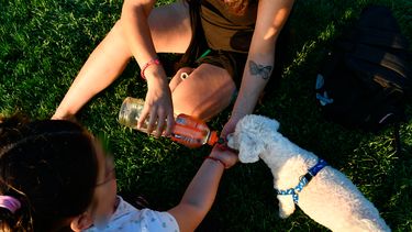 ¡Qué calor de locos nena! Consejos para proteger a tus niños y mascotas en este histórico día