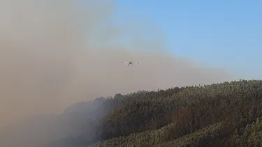 El Desconcierto | 28896 incendio.webp