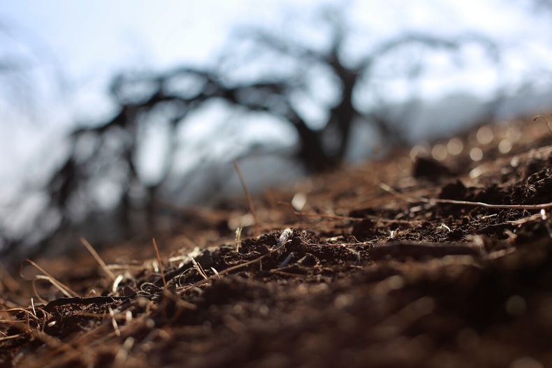 19630 earth overshoot day.jpg