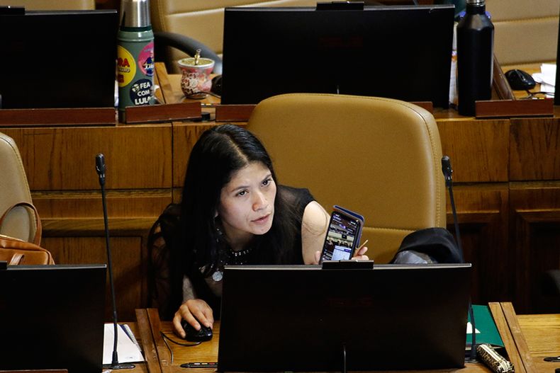 diputada nanco.jpg