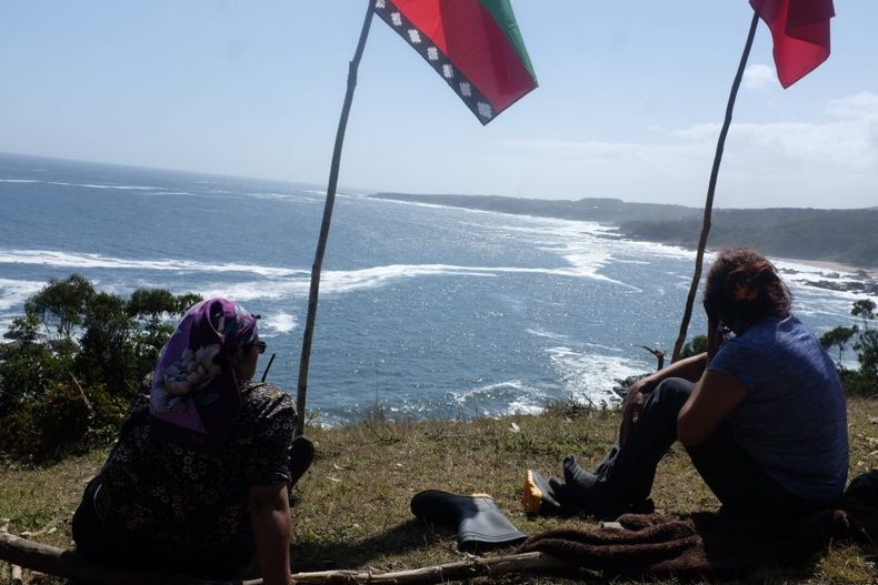 Nauco 6 scaled e1647376708588.jpeg