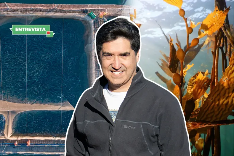 17268 diseno sin titulo 3.webp