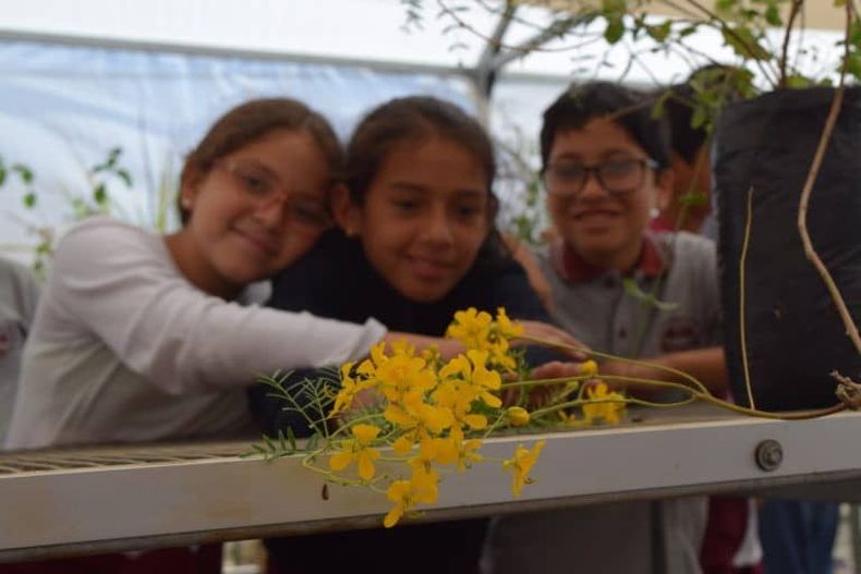 flores nativas ninos sustentabilidad educacion ambiental 1.jpg