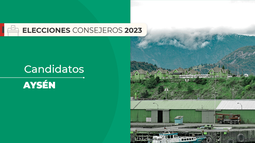 Aysén: Quiénes son los candidatos al Consejo Constitucional en la región