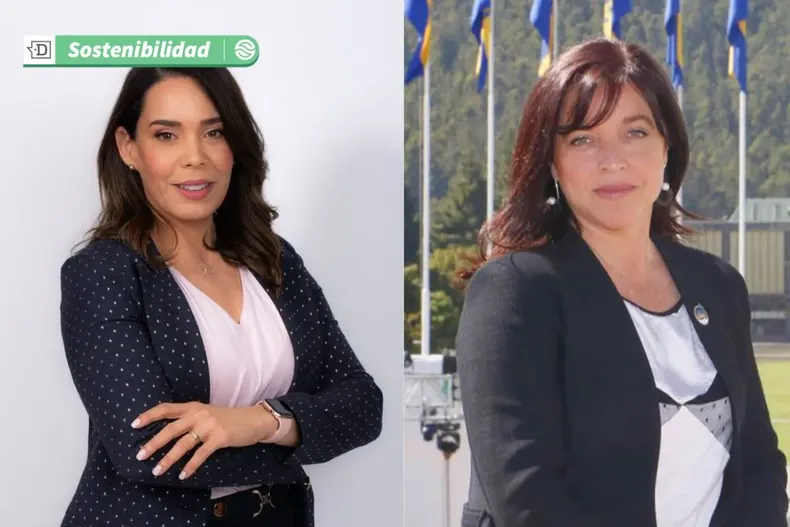 18875 diseno sin titulo 2025 07 09t145440.webp