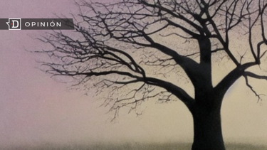 El Desconcierto | sombras opinion e1700579904442.png