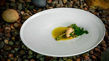 Los platos del más famoso chef chileno que mezcla lluvia de Patagonia y plantas del desierto
