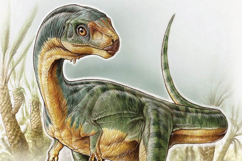 chilesaurio reuters_133510.jpg
