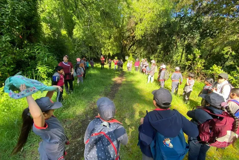 26785 diseno sin titulo 2025 12 02t171951.webp