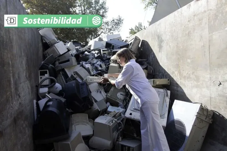 10189 basselect.webp