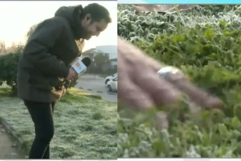 1276 notero matinal.jpg