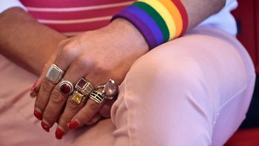Demócratas se comprometen a proteger por ley el matrimonio homosexual en Estados Unidos