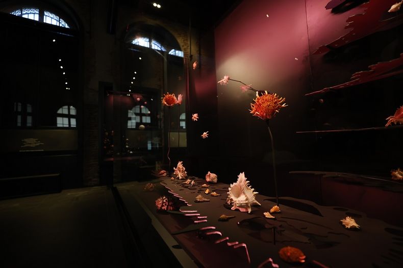 6339 caracolas neruda.jpg