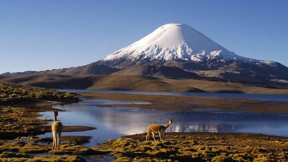 La CGR detectó deficiencias en la administración del Parque Nacional Lauca. Créditos: Conaf.&nbsp;