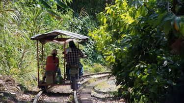 Los campesinos que impulsan el cambio energético en Colombia