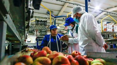 Producción industrial de Chile bajó 1,1% interanual en el mes de febrero