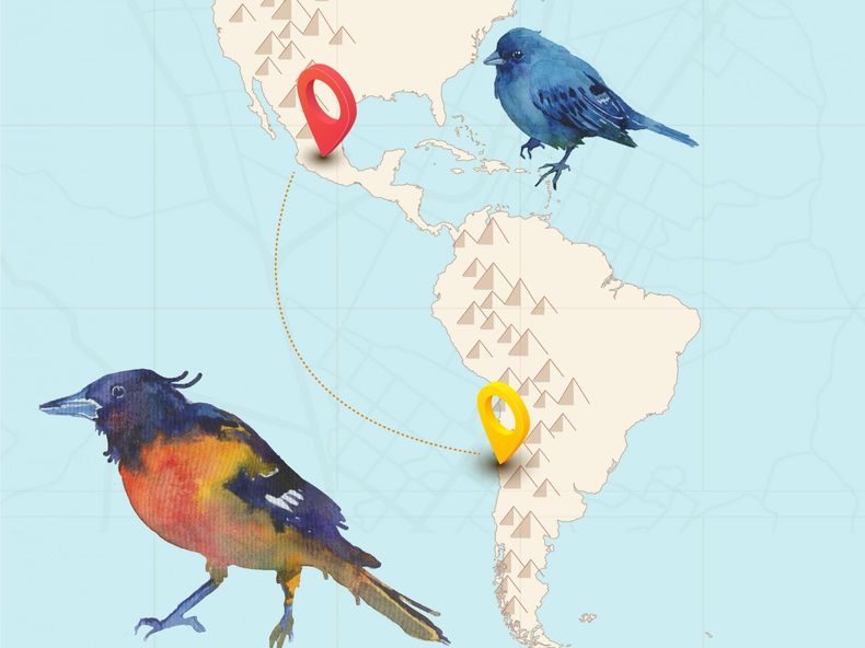 talleres invierno_0.jpg