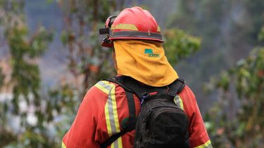 Revelan la cantidad de dinero que ganaba exbrigadista Conaf detenido por incendios