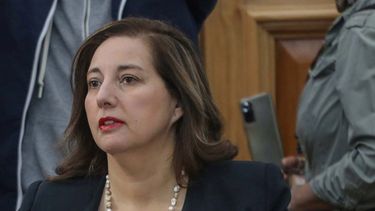 Desde la dirección del PS al Senado: El desembarco de Paulina Vodanovic en el Congreso
