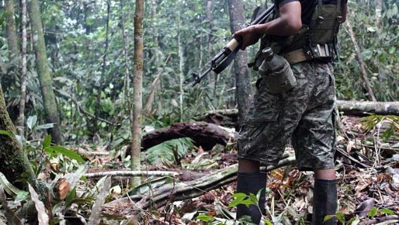 Sendero Luminoso.jpeg