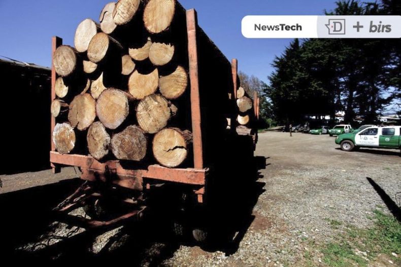 redes en contra de carabineros por robo de madera por parte de funcionario policial e1674159068628.jpeg