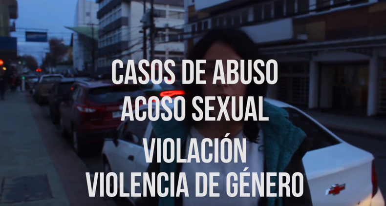 FireShot Capture 66 Camila vocera de la Asamblea Feminist_ https___www.facebook.com_AsambleaF.png