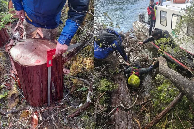 18478 diseno sin titulo.webp