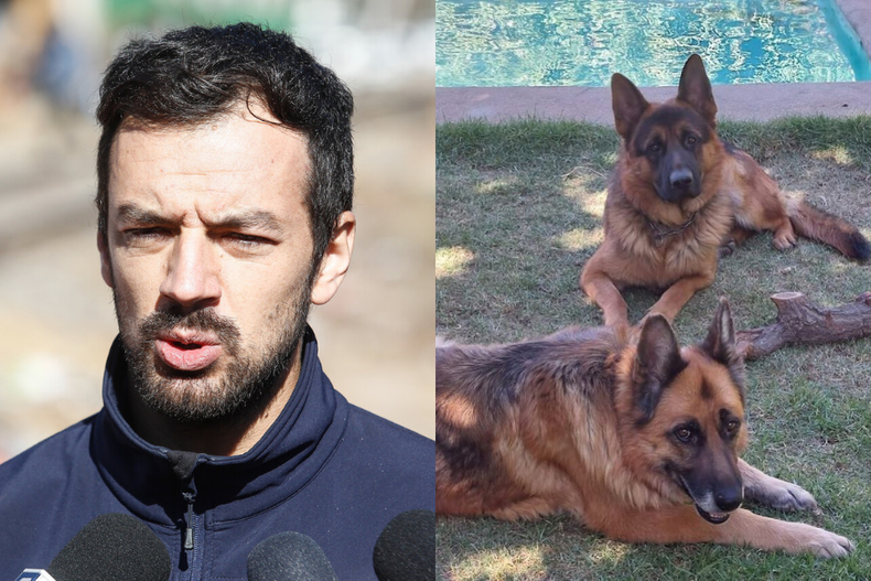 Tomas Vodanovic sobre el dolor por sus perros que fueron envenados y terminaron muriendo.png