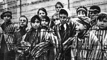 El Desconcierto | Ninos judios en Auschwitz.jpg