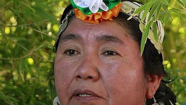 El Desconcierto | Ana Llao.jpg