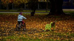 El verano vive sus últimos días: Confirman el día y la hora de la llegada del otoño 2026
