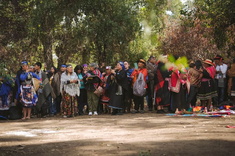 6084 feria libro indigena.jpeg