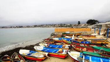Reafirmando su compromiso con la pesca artesanal: Diputada Castillo se reunió con dirigentes de Coquimbo