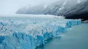 El desconcierto | 31370 diseno sin titulo 2026 03 18t160902.webp