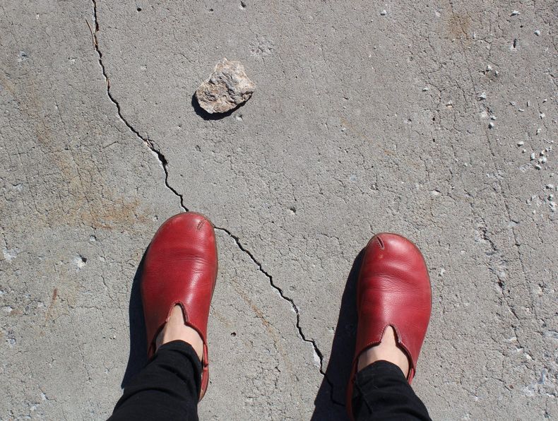 IMG_1467 e1544754664766 scaled.jpg