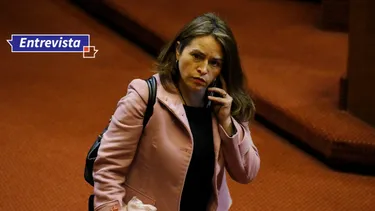 El Desconcierto | 10550 joanna perez.webp