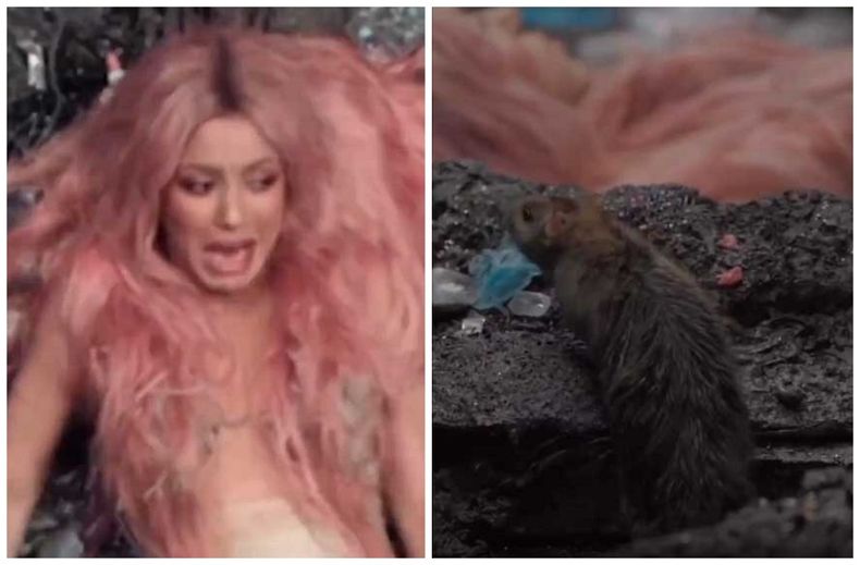 shakira 1.jpg