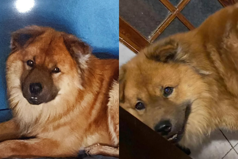 8079 diseno sin titulo 86.png