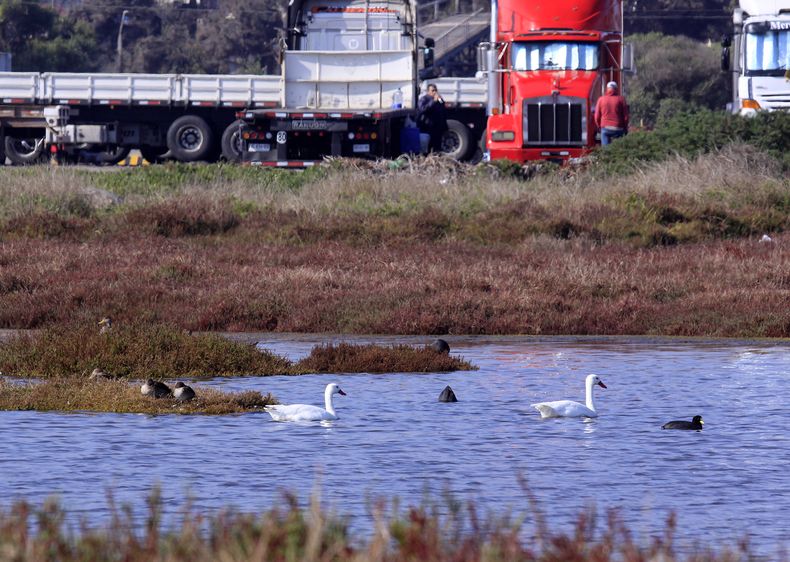 Humedal en San Antonio.jpg