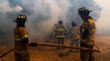 Incendios forestales preocupan al gobierno: “Hemos dispuesto todos los recursos”