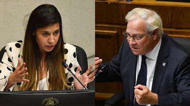 Daniella Cicardini e Ignacio Urrutia discutieron en el Congreso por las APR - Agencia Uno