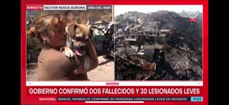 Familia encuentra con vida a su perro tras el incendio en Vina del Mar.jpeg